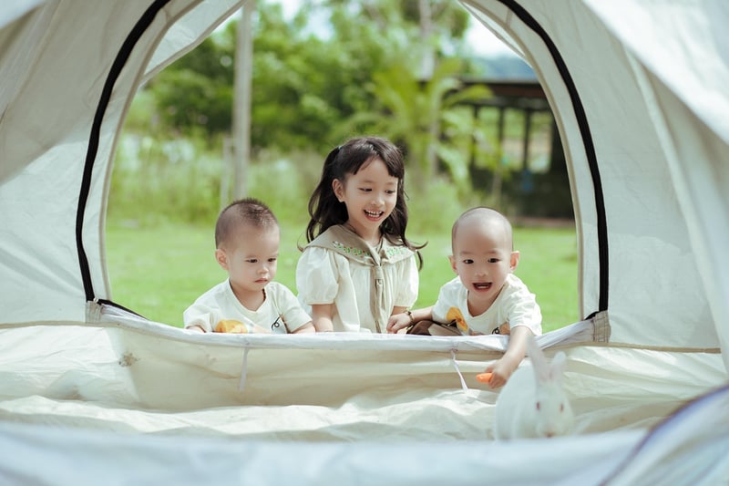 Wilderness Campsite